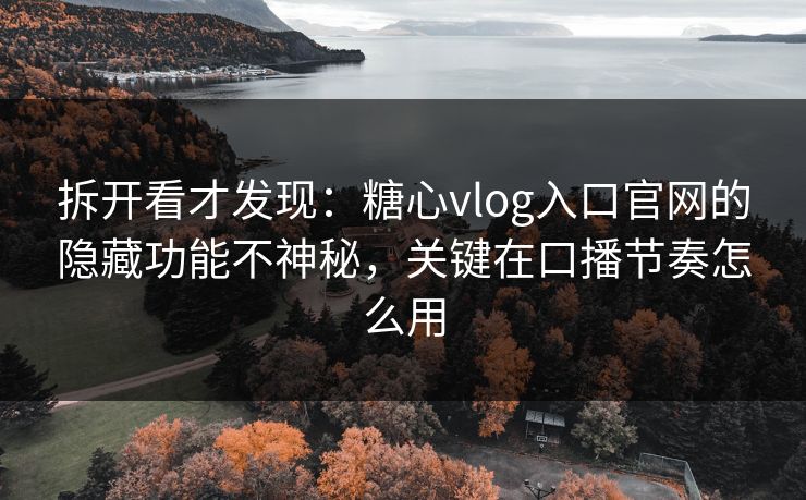 拆开看才发现：糖心vlog入口官网的隐藏功能不神秘，关键在口播节奏怎么用  第1张